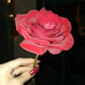 Meet your Posher, Emaly